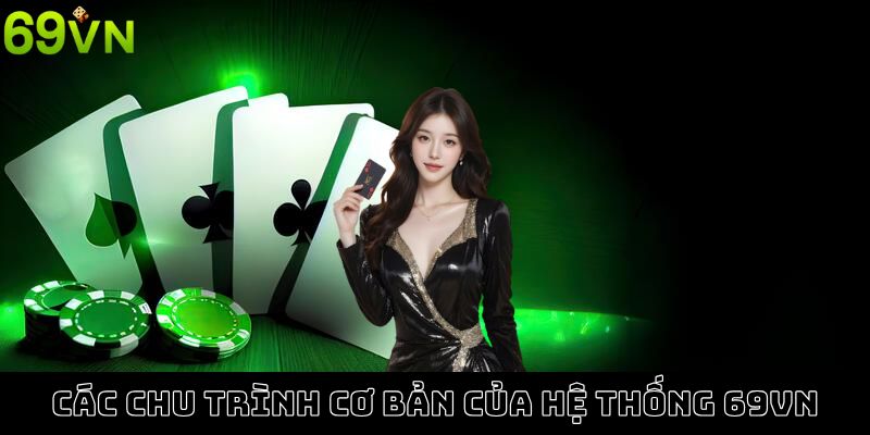 Chi tiết thực hiện các chu trình cơ bản của hệ thống 69VN Chi tiết thực hiện các chu trình cơ bản của hệ thống 69VN