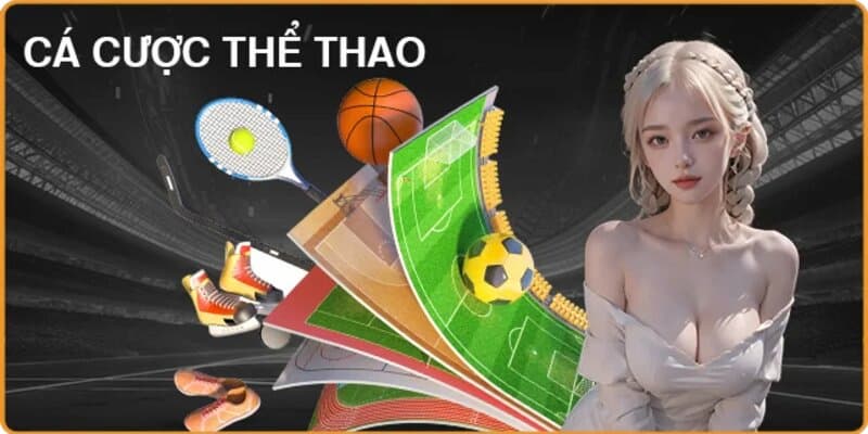 Đôi nét về sảnh thể thao Đôi nét về sảnh thể thao
